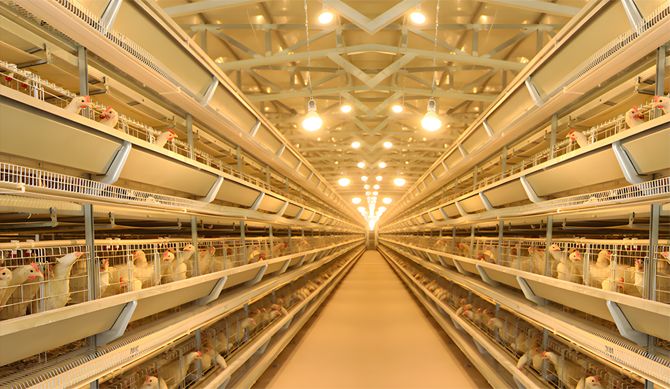 Stacked automated breeding equipment